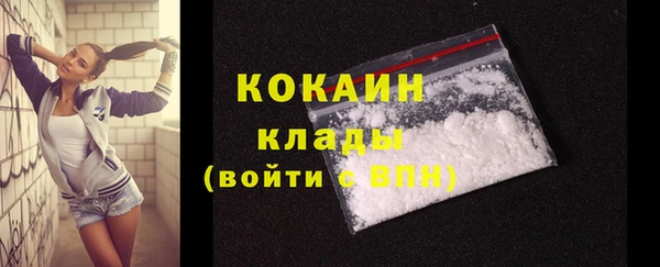 ГАЛЛЮЦИНОГЕННЫЕ ГРИБЫ Горно-Алтайск