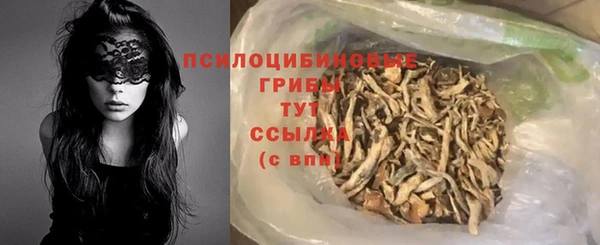 тгк Горнозаводск