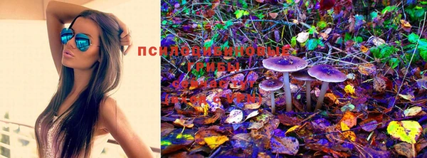 мефедрон Вяземский